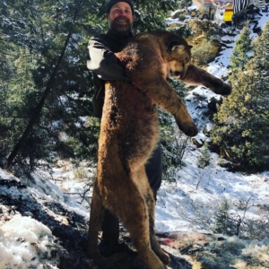Man posing with the mountain lion he harvested during his Colorado hunt.