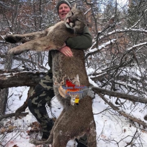 A man holding up the mountain lion he harvested during his Colorado hunt.