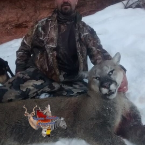 A man posing in the snow with a puma he harvested in Colorado.
