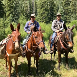 Three horses and two men riding them in a forest in Colorado.