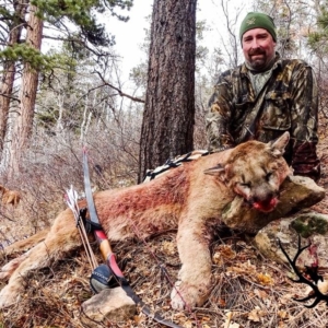 A man in camo posing with the mountain lion he harvested with bow and arrow during his Colorado hunt.