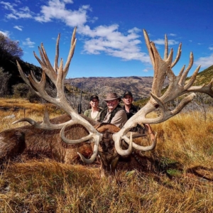Three people posing behind the massive stag they harvested on their New Zealand hunt.